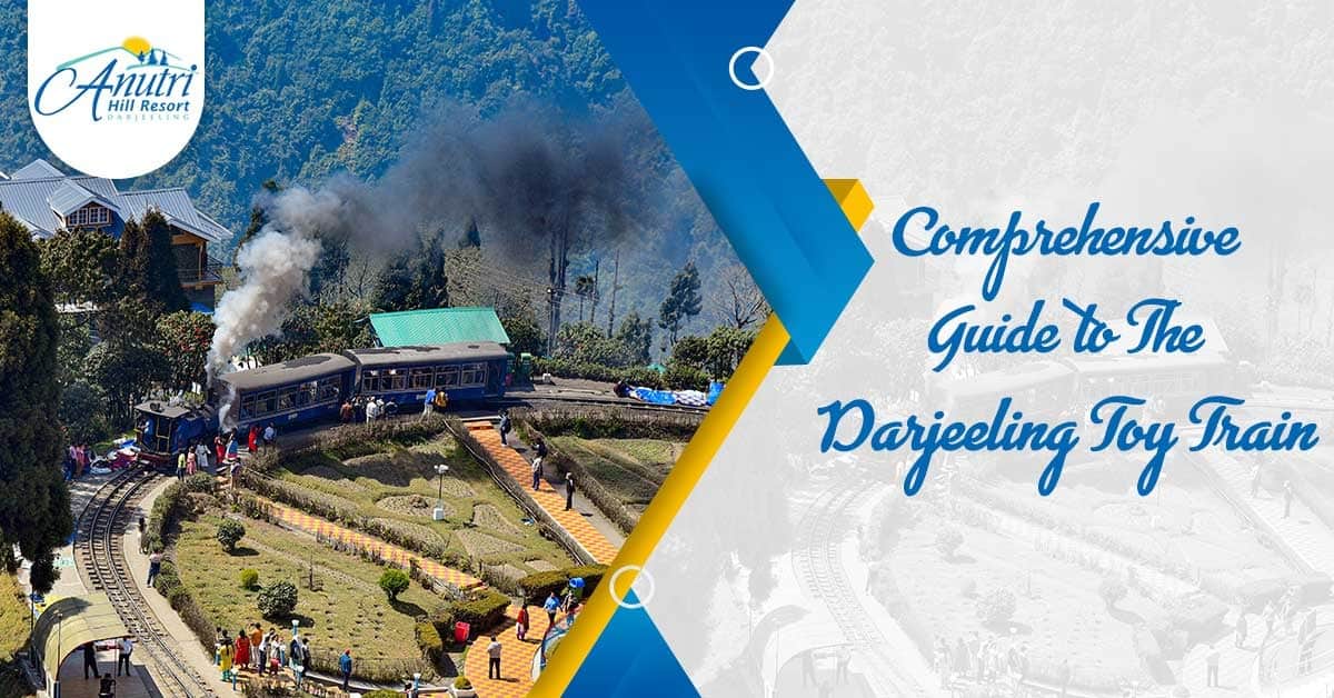 Comprehensive Guide to The Darjeeling Toy Train-Anutri Hill Resort